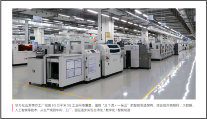 華為2020 “胡楊”報告——網絡技術服務的堅守與新生